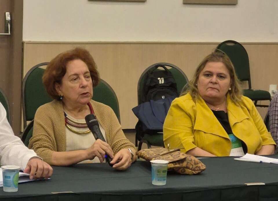 CEE debate sobre educação no Triplo Fórum Internacional da Governança do Sul Global