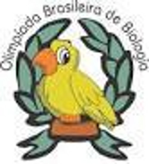 Alunos da Escola Fenelon Rodrigues participaram  da Olimpíada Brasileira de Biologia