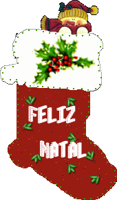 Boas Festas e Feliz 2010