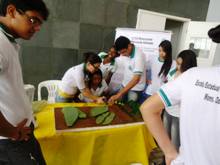 I Feira do Curso de Agropecuária é realizada na EEEP Mons. Odorico de Andrade.