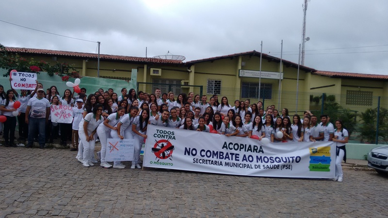 A Eeep Alfredo Nunes De Melo Realiza Capacitação Para Combater O mosquito Aedes Aegypt.