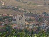 Jardim