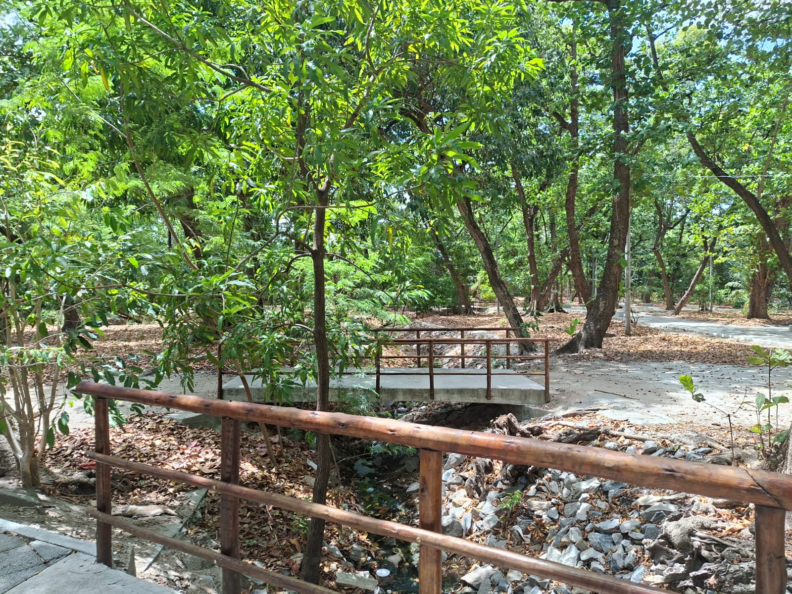 Verde é cor do Janeiro Branco: saúde mental de caminhantes da Etice no Parque Rio Branco