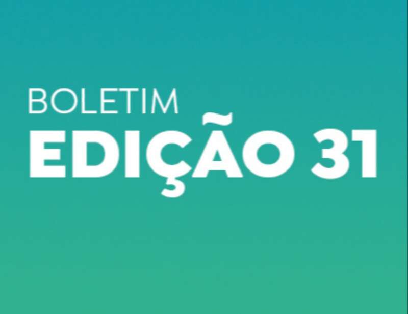 BOLETIM 31
