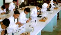 Abertas as inscrições para o Programa de Bolsas de Iniciação Científica Júnior