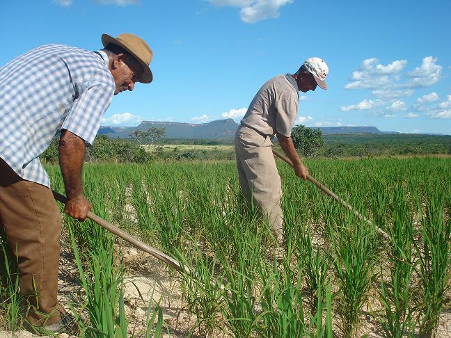 Projeto ajuda trabalhadores rurais a valorizar seus produtos