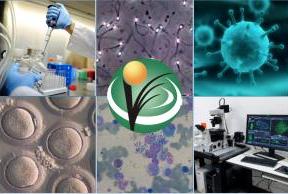 Pós-Graduação em Ciências Veterinárias da Uece lança editais para seleção do mestrado e doutorado