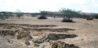Funceme participa de celebração ao Dia Mundial de Combate à Desertificação