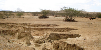 Funceme atuará em Sistema de Alerta Precoce de Secas e Desertificação
