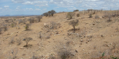 Desertificação: Funceme inicia oficinas para mobilizar municípios