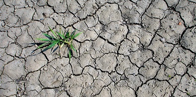 Fortaleza receberá Conferência Científica da ONU sobre desertificação