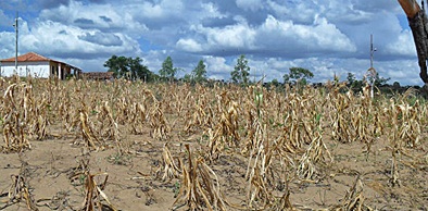 Quadro climático é tema de Encontro do Agropacto
