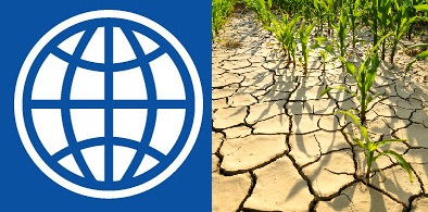 Workshop do Banco Mundial discute preparação contra secas