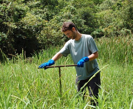 Florestas tropicais no CE se adaptam às mudanças do clima, diz estudo