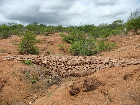 Funceme inicia intervenções de manejo sustentável na localidade do Brum, no município de Jaguaribe/CE