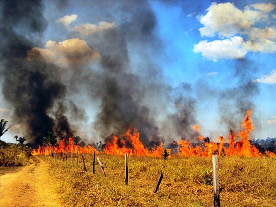 Número de focos de incêndio no Ceará cresce 36,9%
