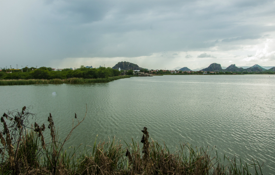 Ceará registra chuvas em mais de 150 municípios