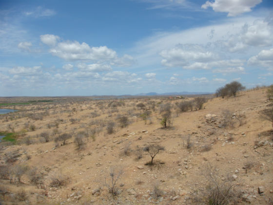 Dia Mundial de Combate à Desertificação: ações e conscientização humana para um futuro sustentável