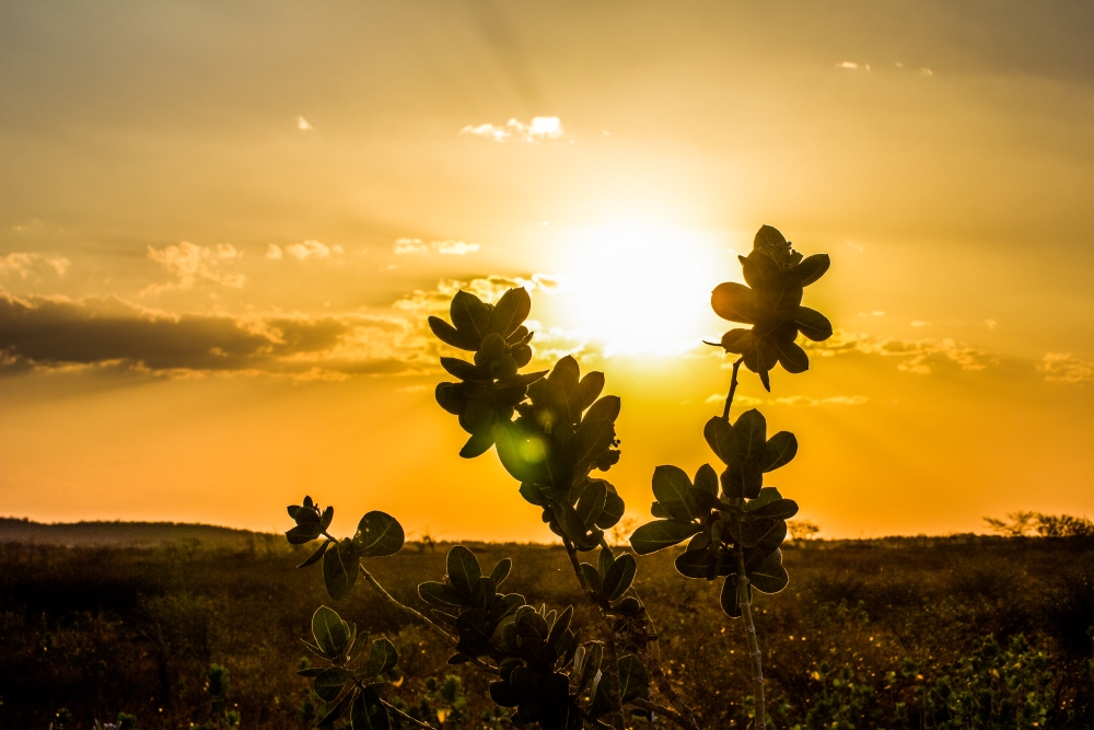 Municípios do Ceará registram altas temperaturas em novembro