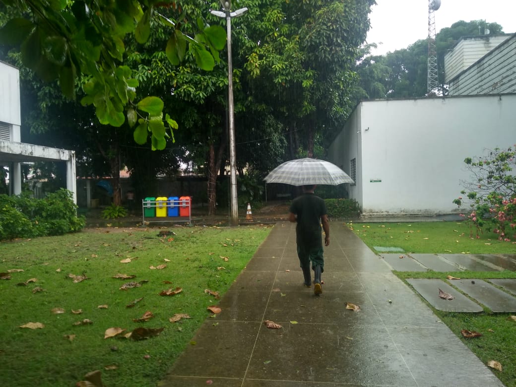Ceará tem chuvas em mais de 20 municípios; Fortaleza registra 84,4 mm