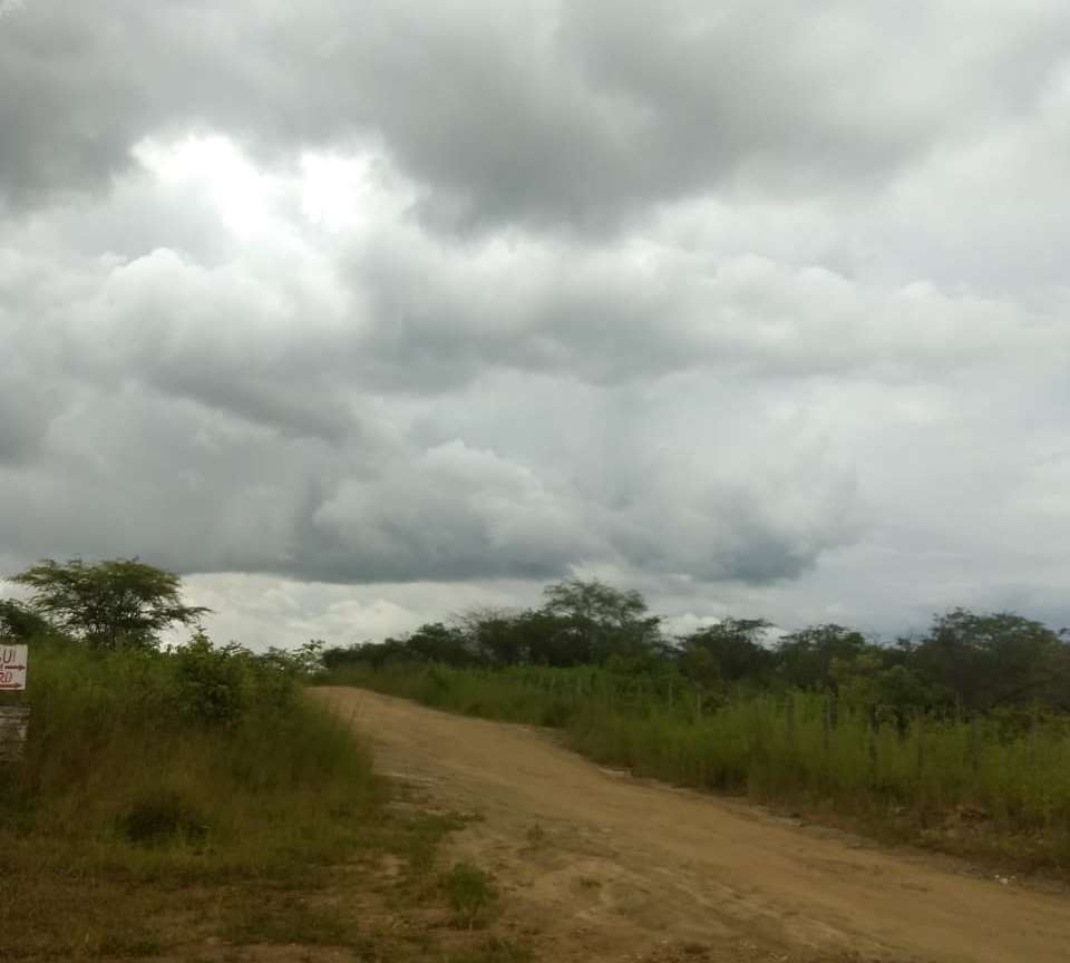 Chove em mais de 90 municípios; litoral e mais três áreas do Ceará seguem mais favoráveis