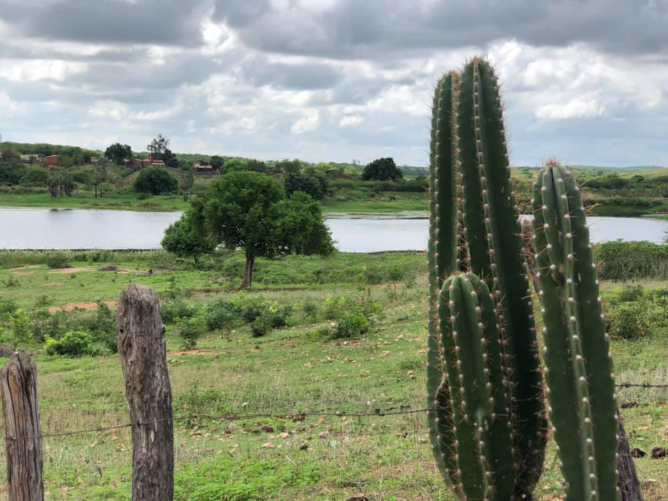 Quadra chuvosa do Ceará em 2019 fica em torno da média