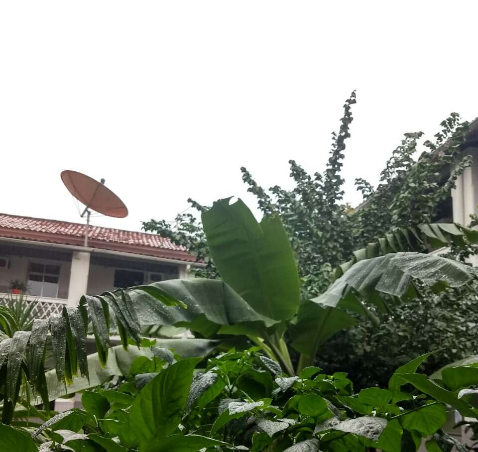 Fortaleza tem manhã de chuva, temperatura mínima de 21,7°C e rajadas de cerca de 40 km/h