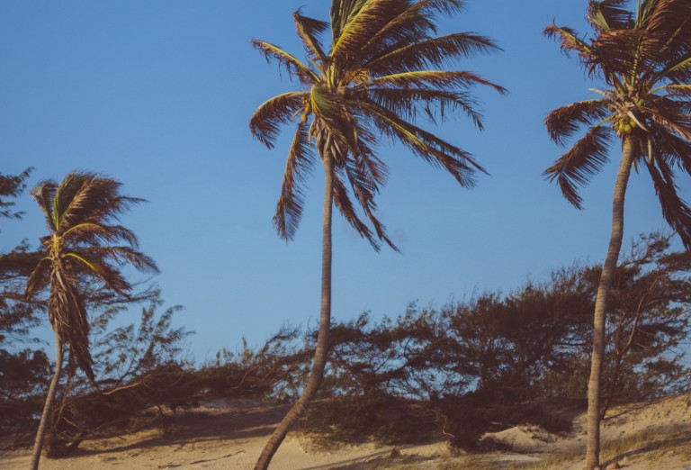 Marinha emite alerta de ventos fortes de até 55 km/h na costa do Nordeste