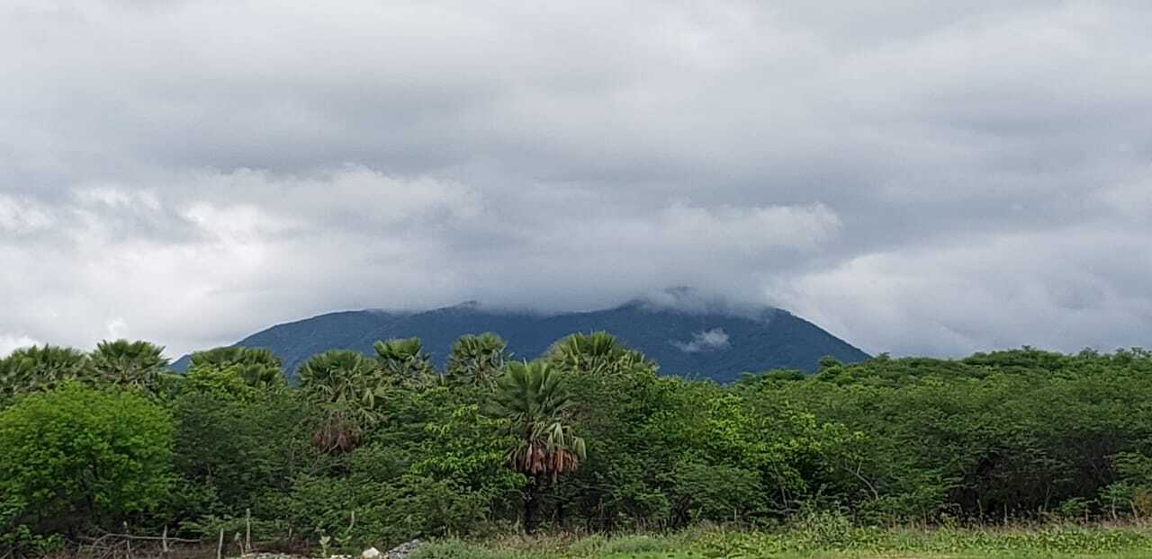Primeiro fim de semana de fevereiro apresenta condições de chuva em todas as regiões