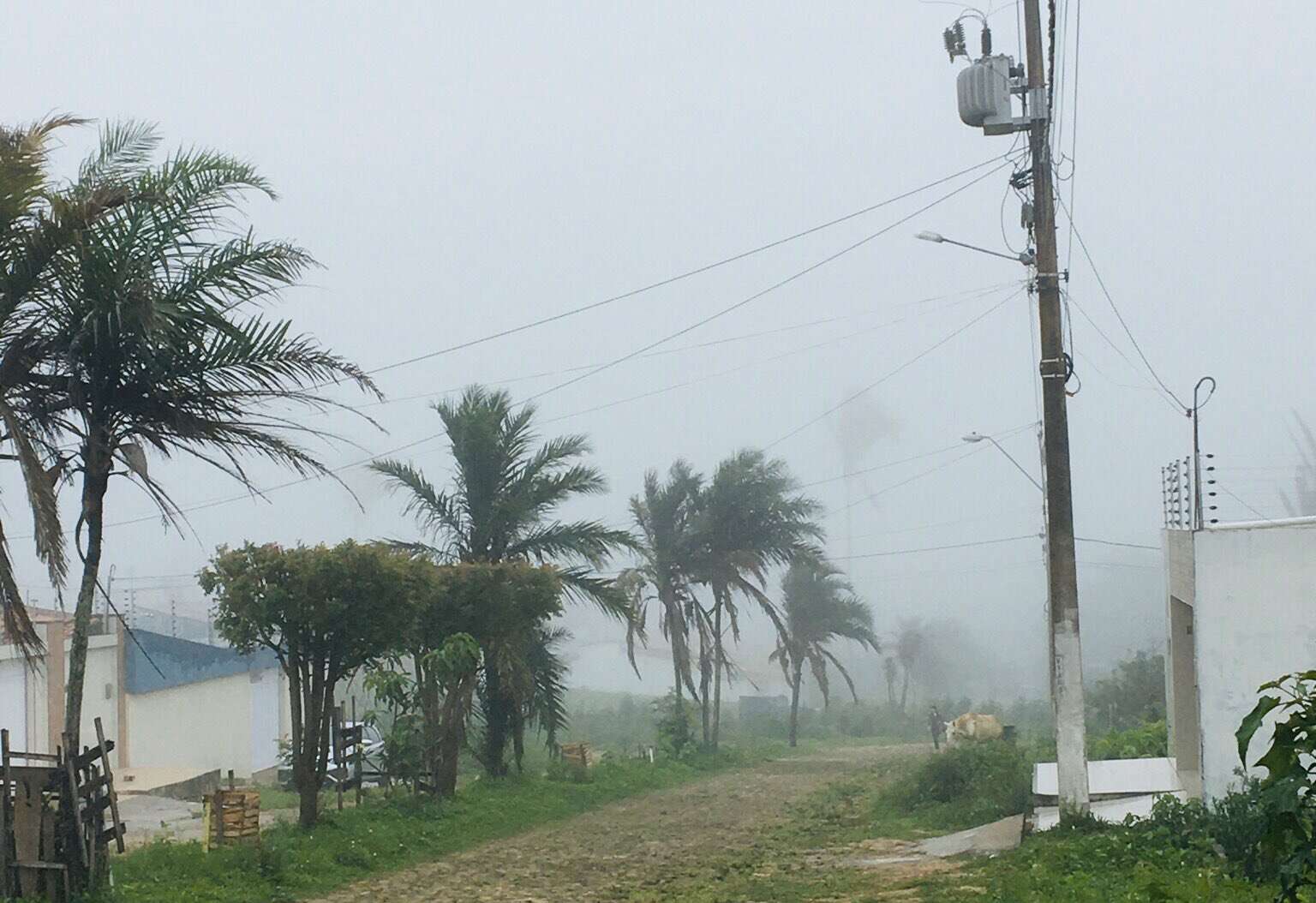 Chove em mais de 120 municípios do Ceará entre segunda e terça-feira