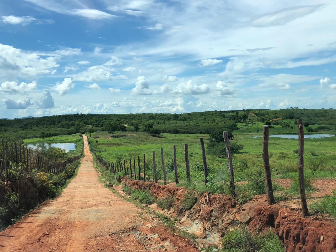 Com noroeste e sul mais favoráveis, Ceará segue com tendência de chuvas em todas as regiões até esta sexta-feira