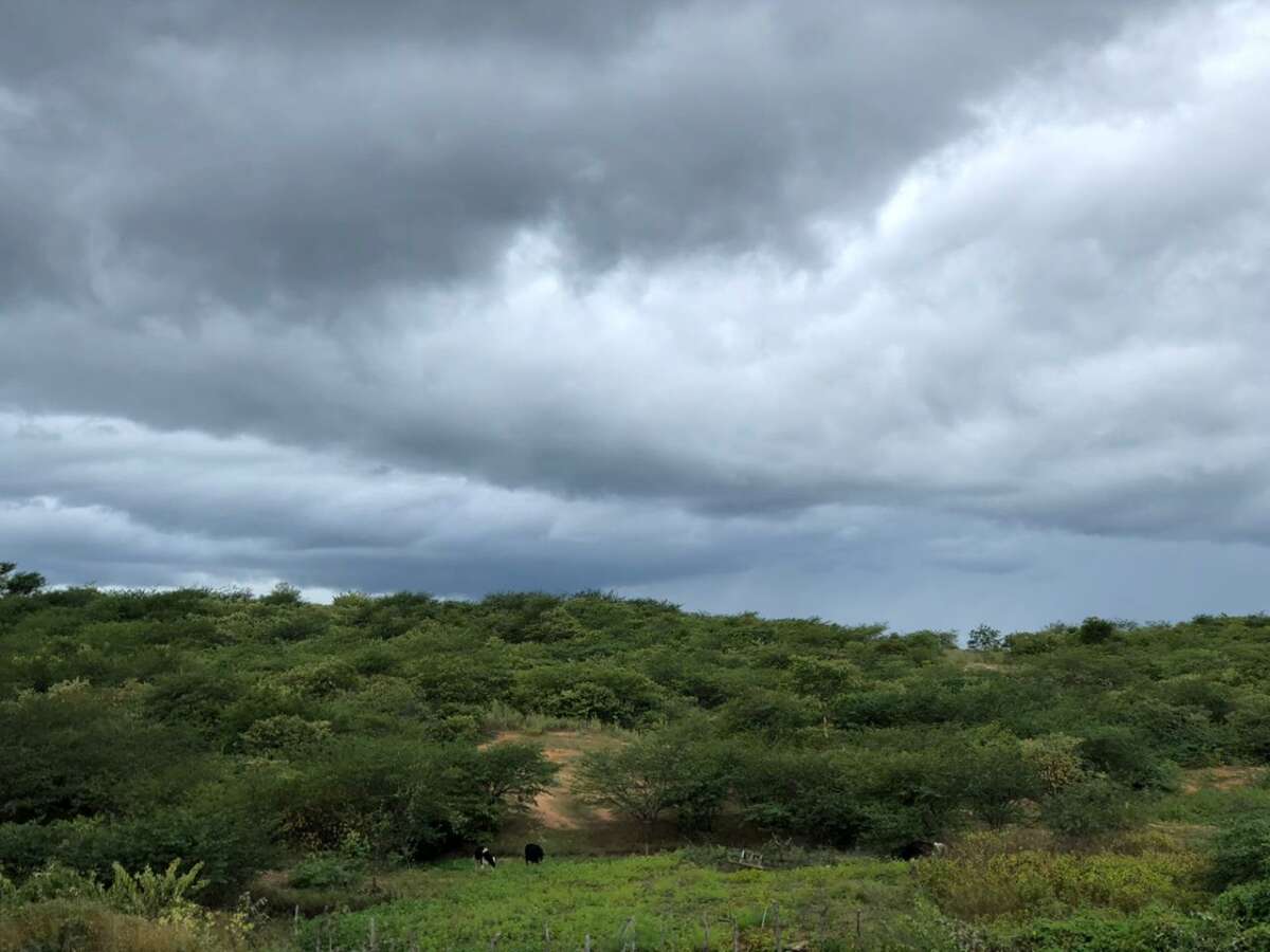 Precipitações desta sexta deverão ocorrer pela noite (FOTO: Marciel Bezerra)