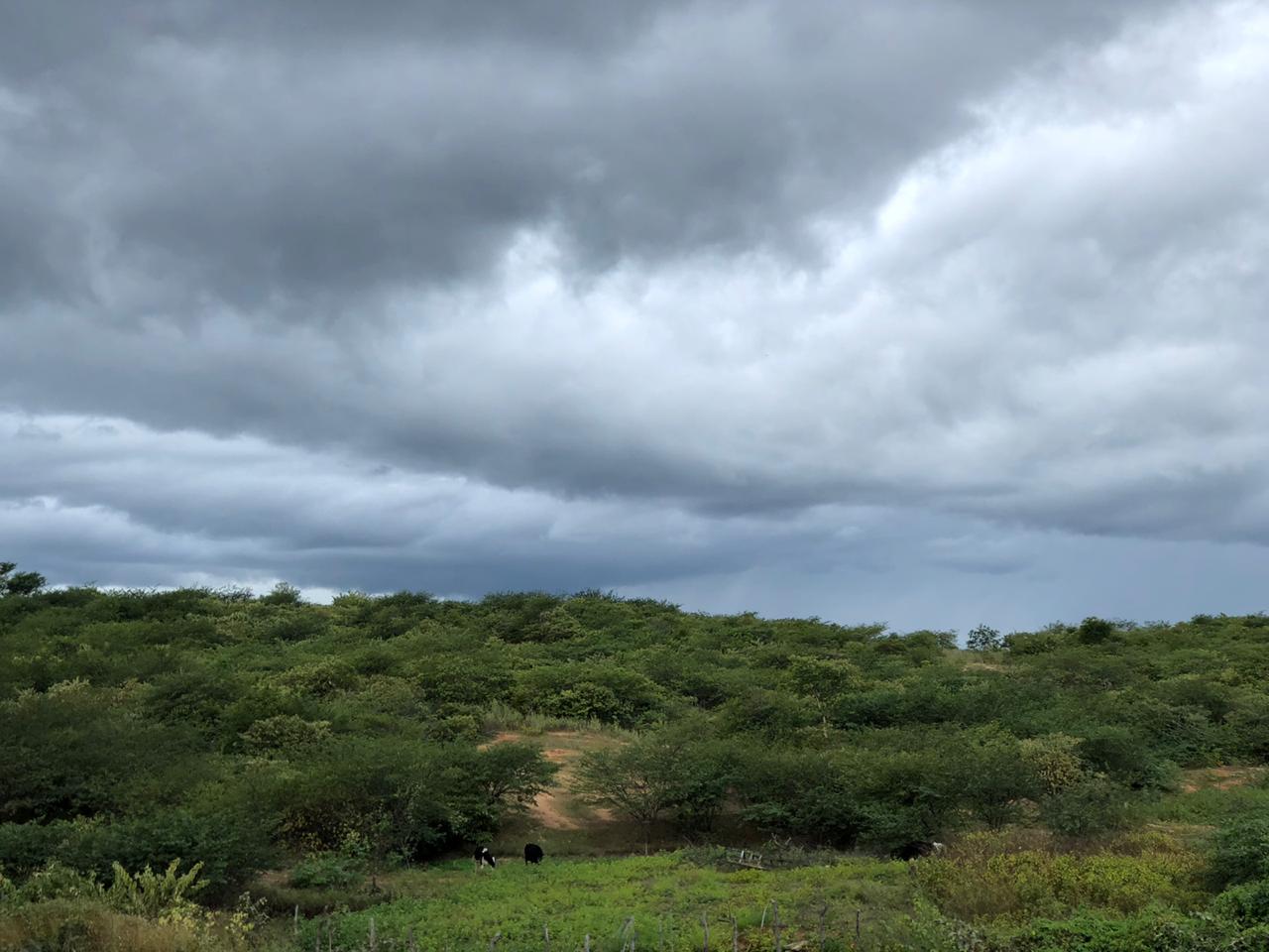 Centro-sul apresenta maiores condições de chuva entre sexta e sábado, indica previsão do tempo