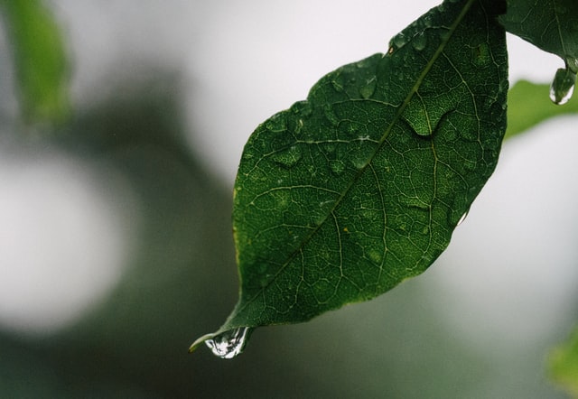 Chove em quase 50 municípios entre segunda e terça-feira; veja dados