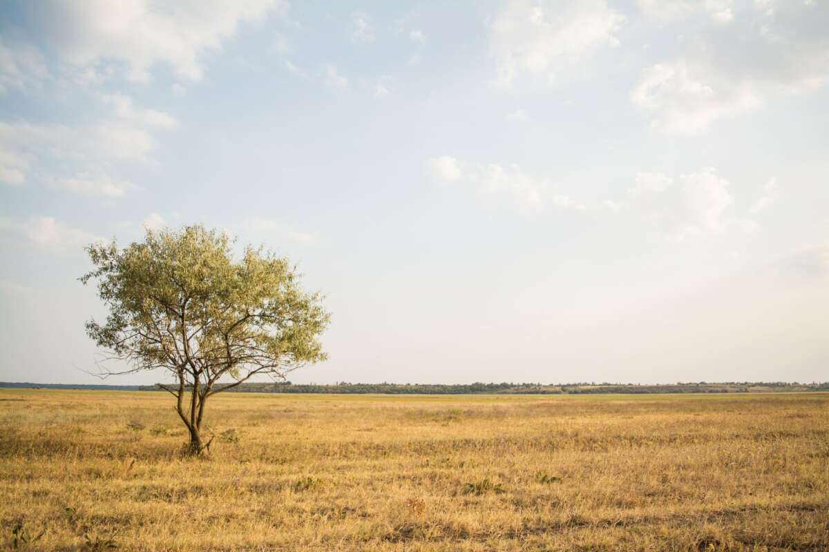 Céu com poucas nuvens será comum neste próximos dias (FOTO:
Rodion Kutsaev/Unsplash)