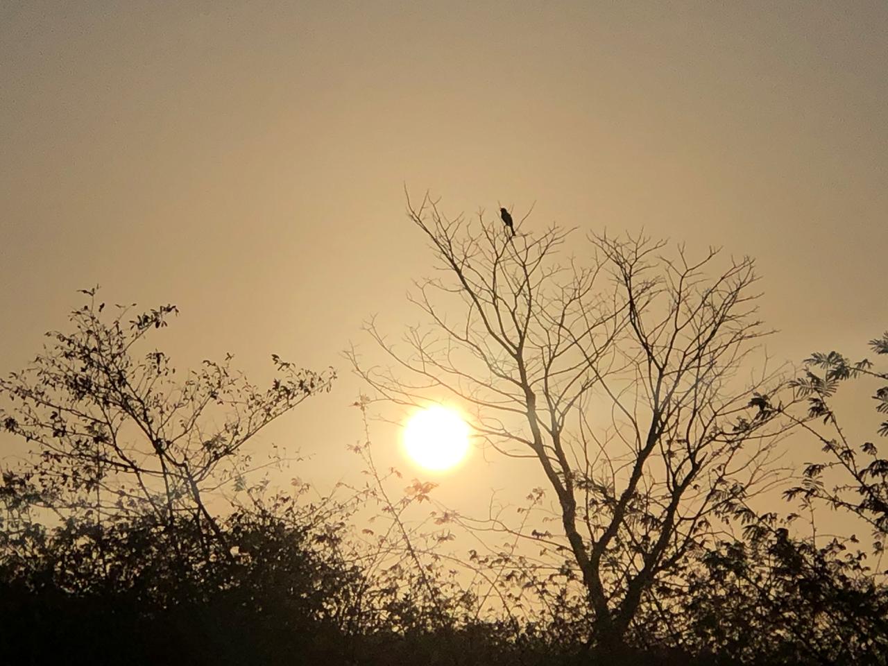 Pós-feriado: céu claro, calor e tempo seco deverão permanecer constantes