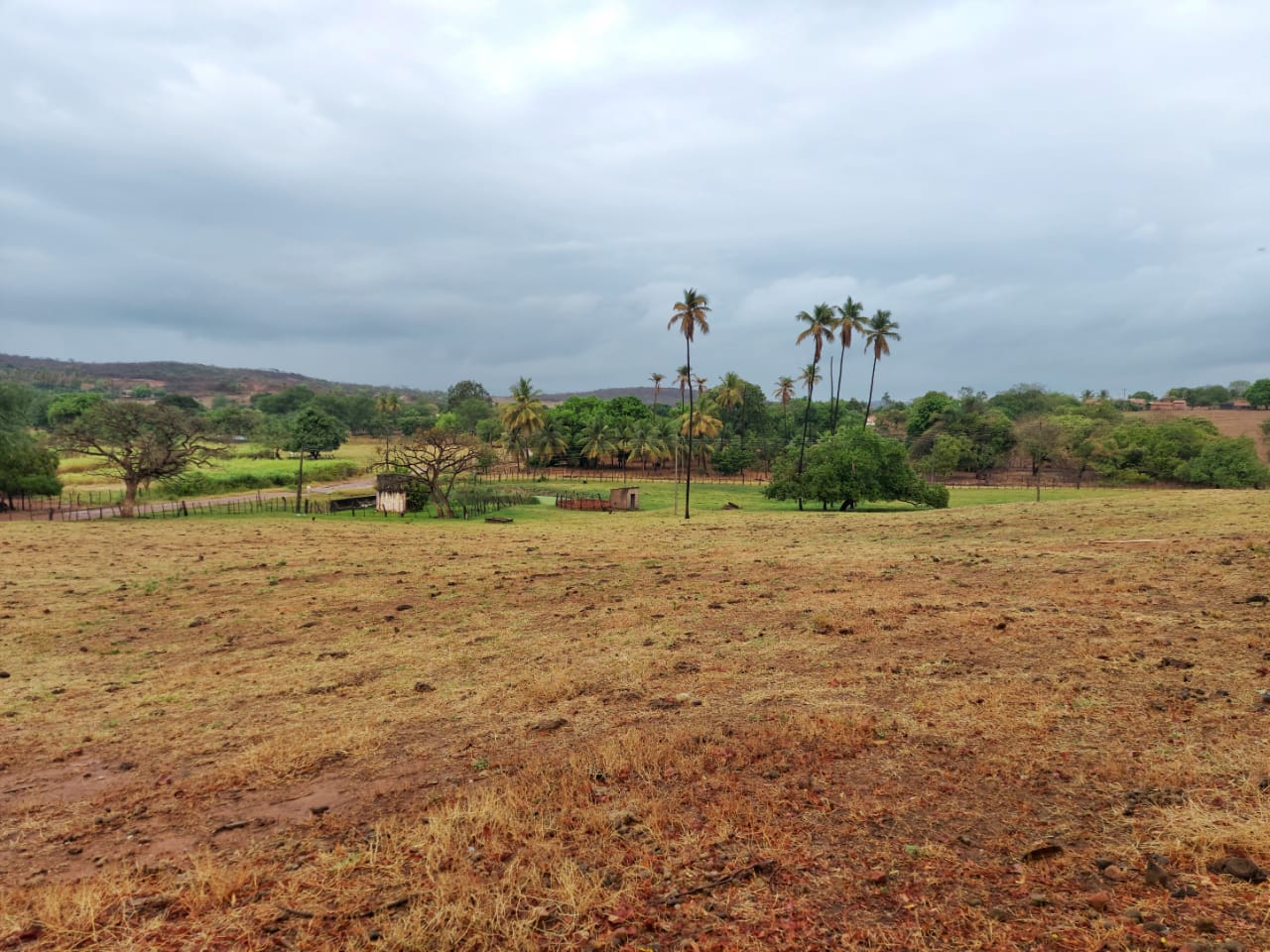 Regiões mais ao norte do Ceará apresentarão maiores condições de chuva até sexta-feira, indica previsão do tempo