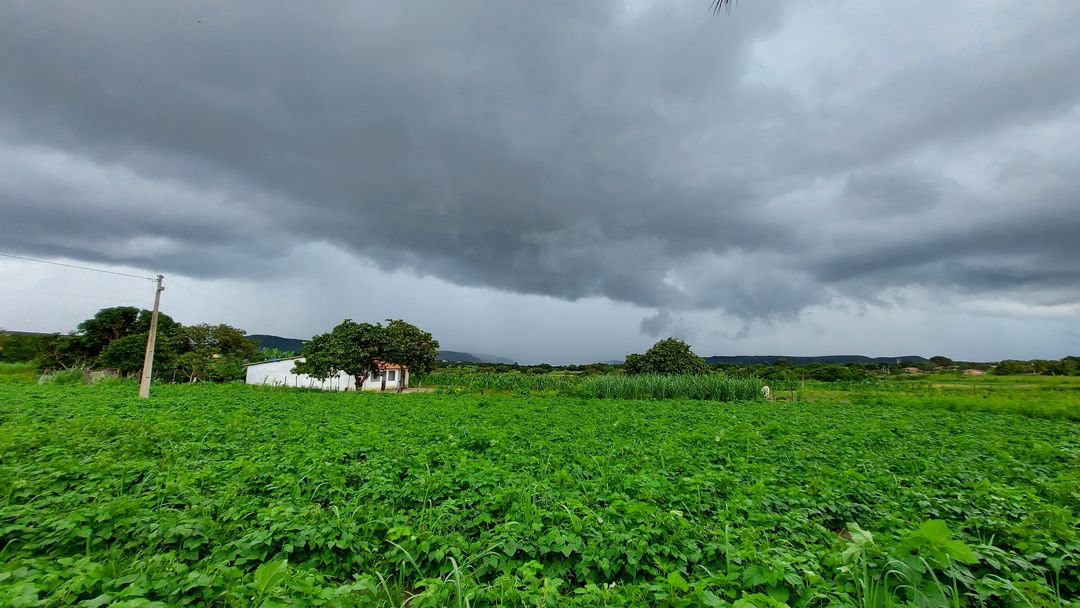 Ceará segue com tendência de registros de chuva em todas as regiões até esta sexta-feira (23)