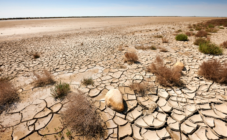 Dia Mundial de Combate à Desertificação é celebrado em live com pesquisadores do Brasil e exterior