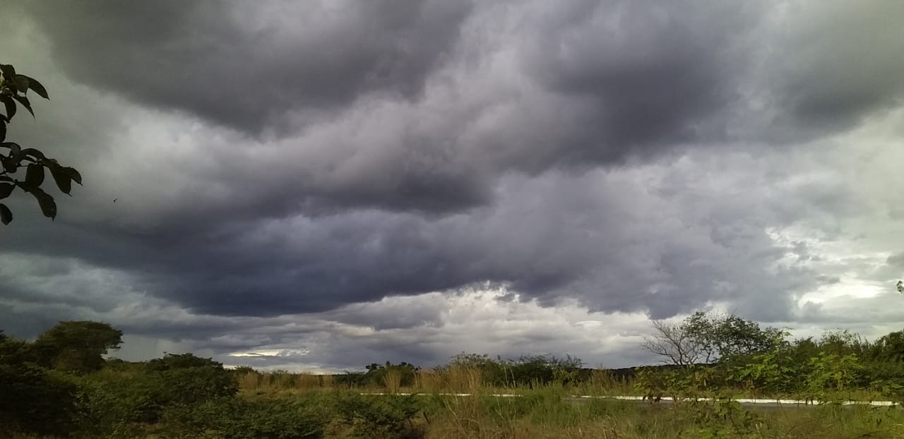 Chove em mais de 100 municípios entre quinta (1º) e sexta-feira (2)