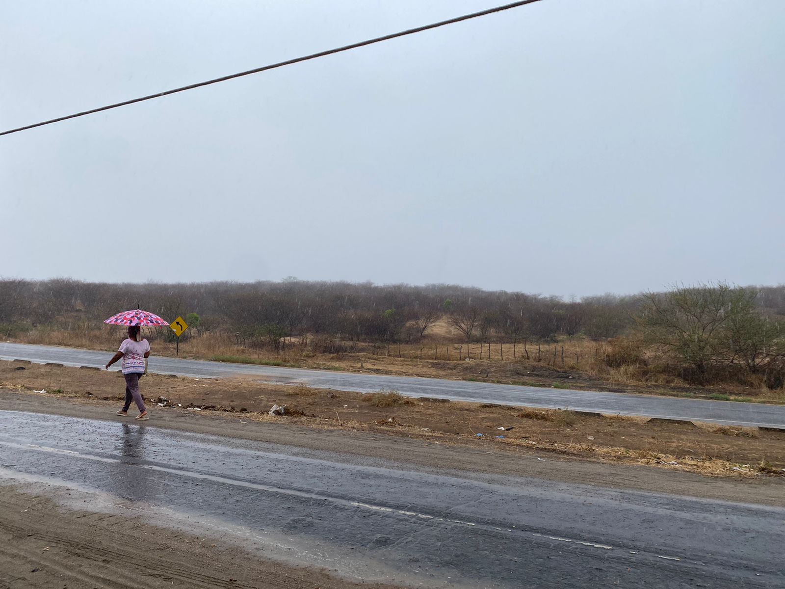 Chove em cerca de 40 municípios entre domingo (7) e segunda-feira (8)