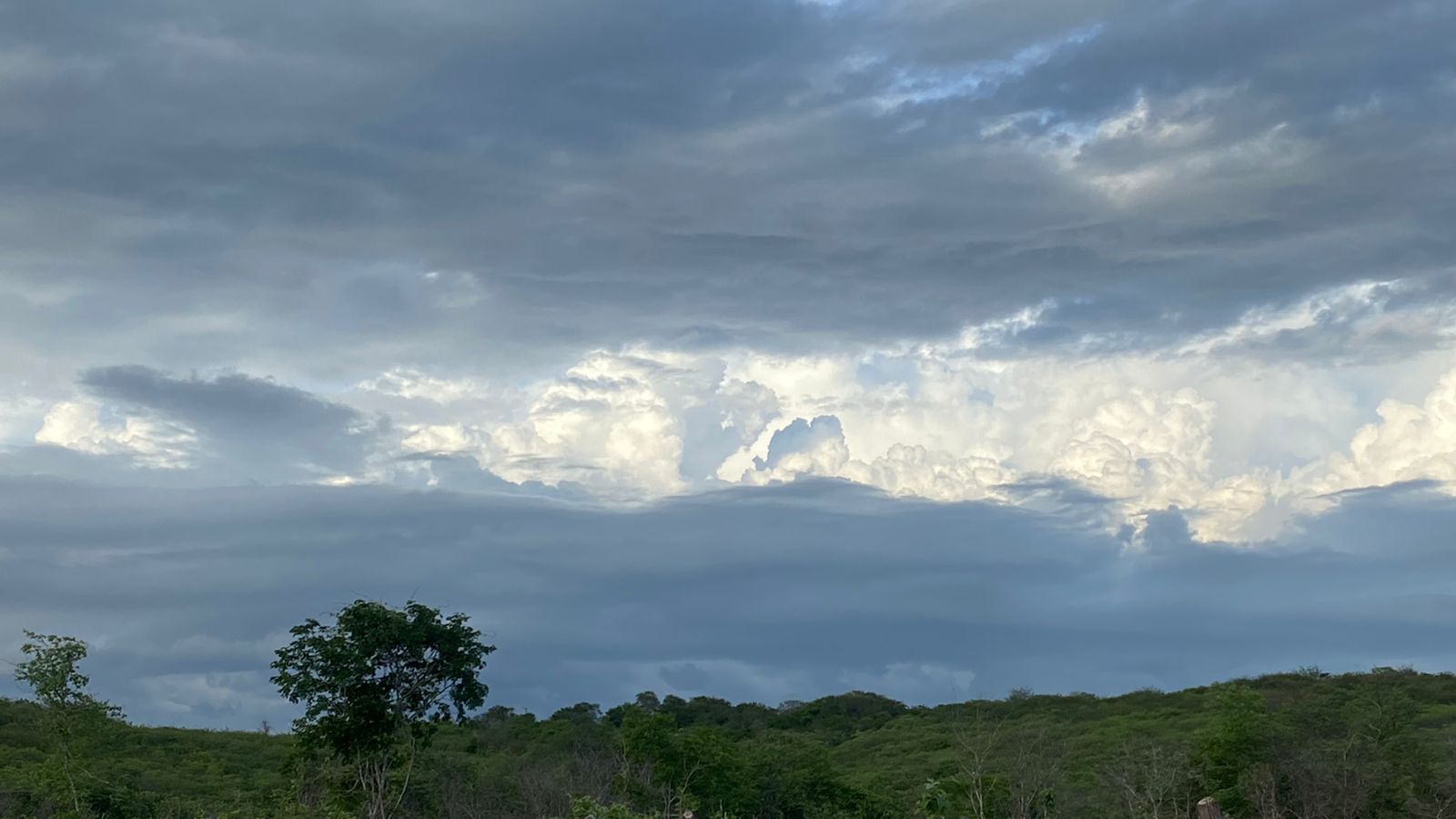 Chove em cerca de 80 municípios entre terça (4) e quarta-feira (5)