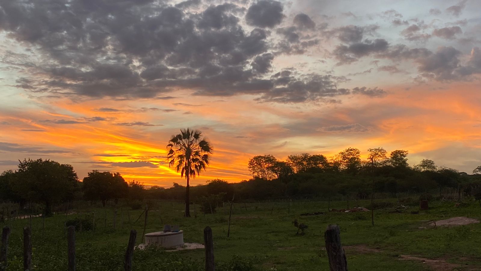 Ceará deverá apresentar chuvas mais isoladas até sexta-feira (7)