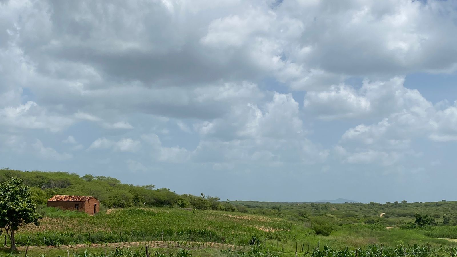 Ceará segue com condições apenas para chuvas isoladas, indica previsão
