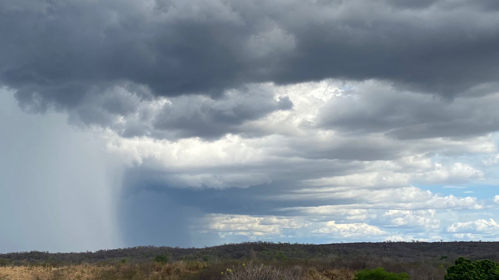Chove em mais de 100 municípios do Ceará entre domingo (6) e segunda-feira (7)