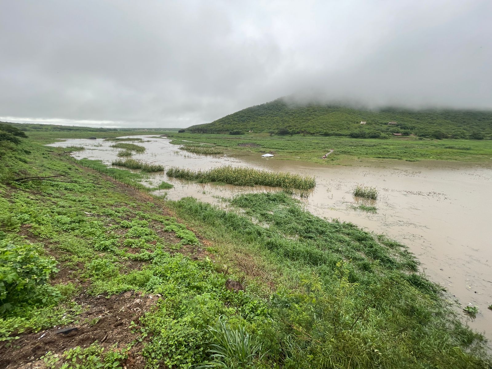 Com acumulados expressivos, Ceará tem chuva em cerca de 140 municípios