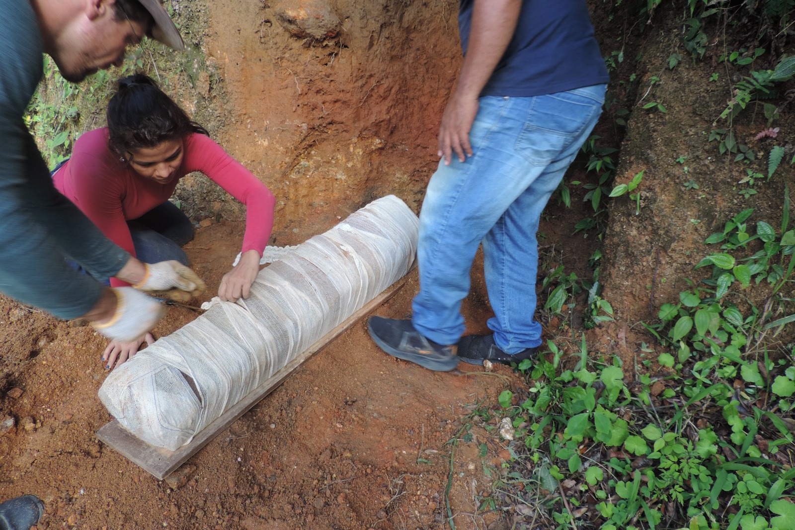 Pesquisadores (as) da área de solos realizam nova coleta de monólito no Estado