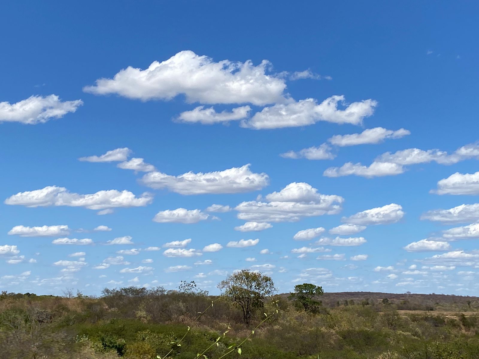 Semana segue com condições estáveis, máximas até 38 °C e rajadas de cerca de 50 km/h