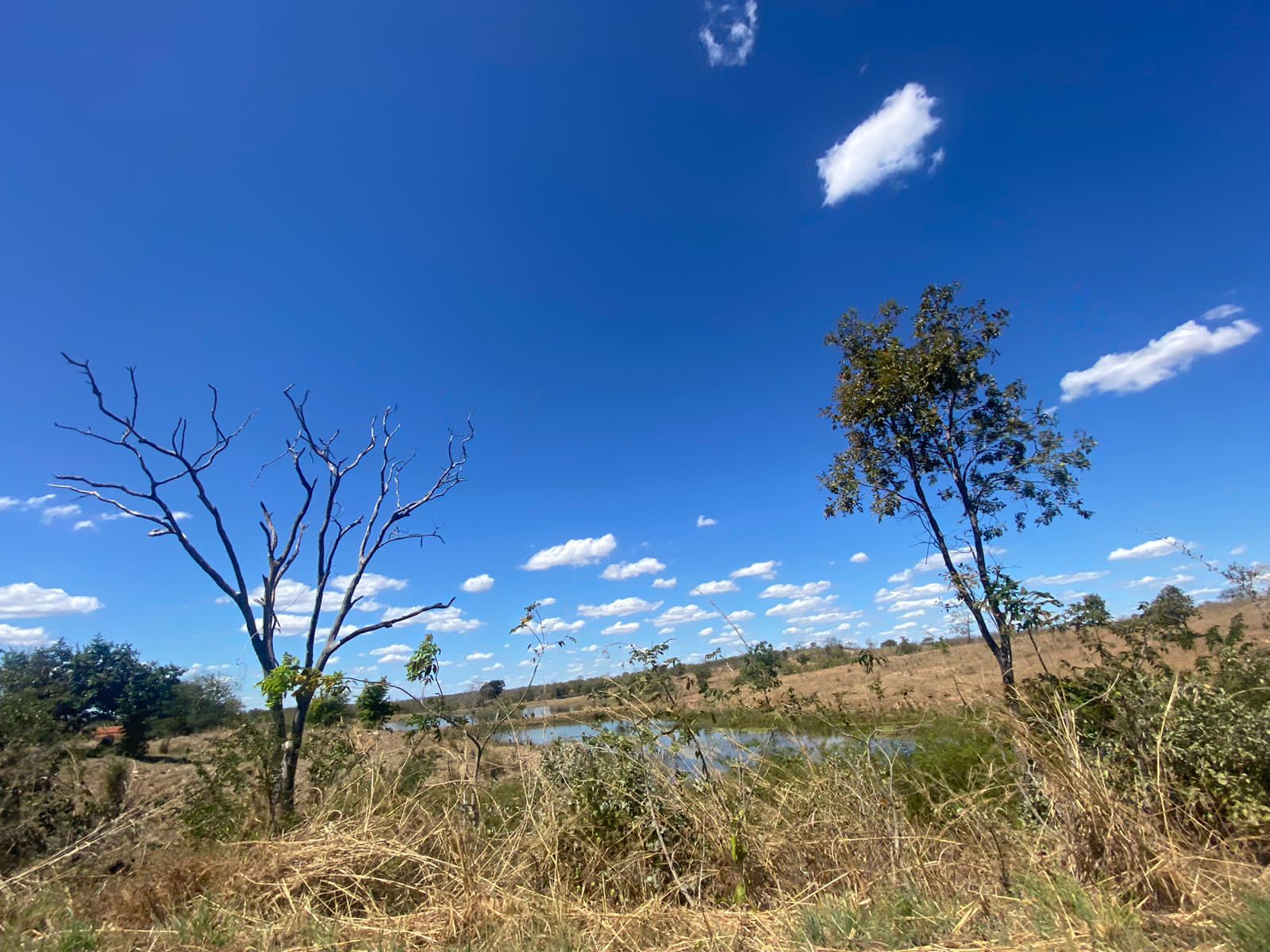 Com tempo estável e seco, Ceará deve manter máximas em torno de 36 ºC