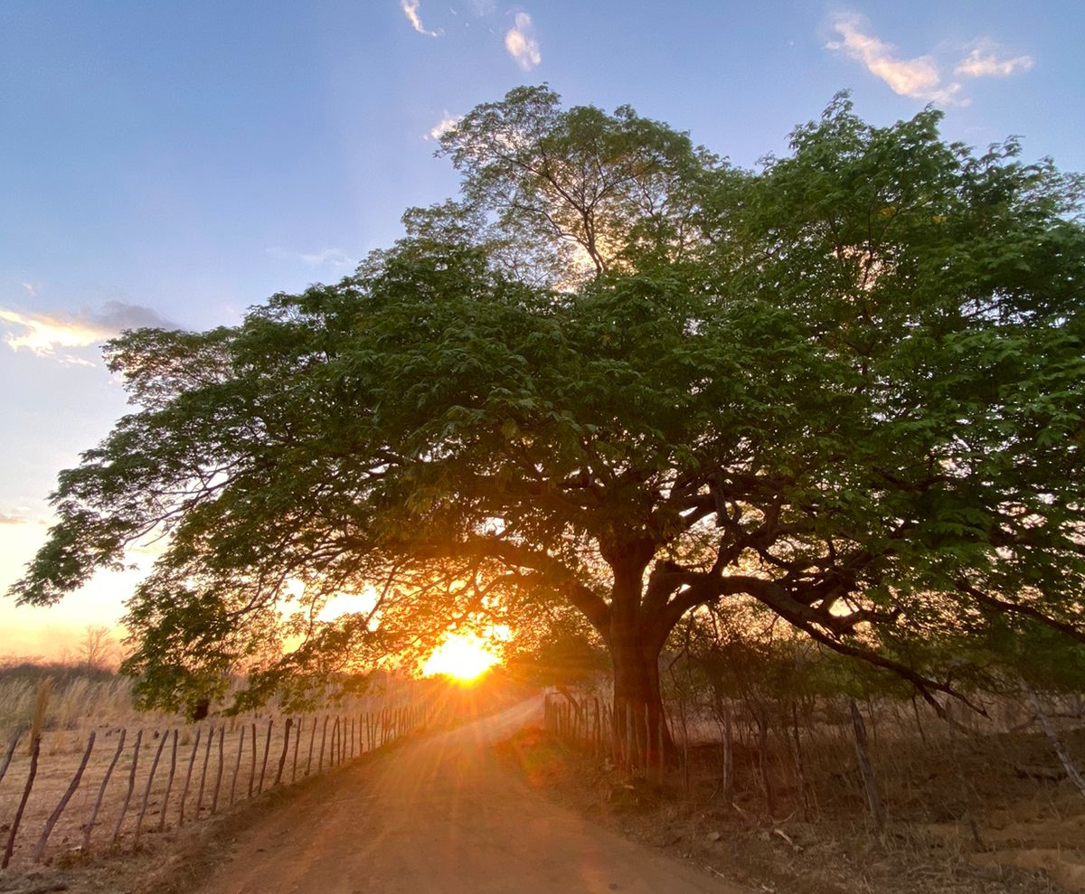 Ceará segue com condições estáveis; máximas devem chegar a 39ºC no interior